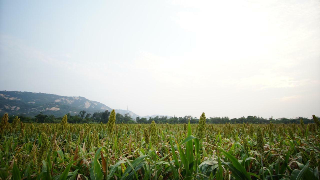 金門廣緣民宿 Guang Yuan B&B Jinsha Esterno foto