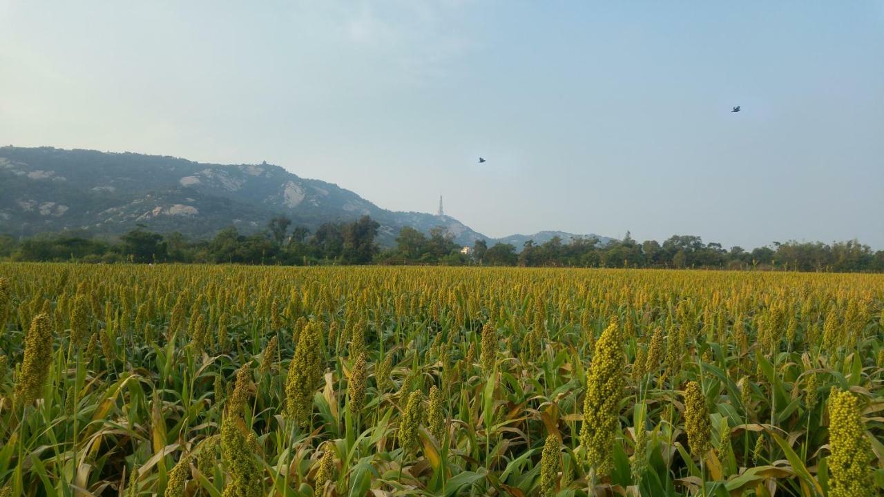 金門廣緣民宿 Guang Yuan B&B Jinsha Esterno foto